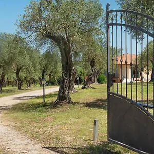 Welcomely - Country Olivar Alguer